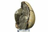 Septarian Dragon Egg Geode - Sparkly Black Crystals #308812-2